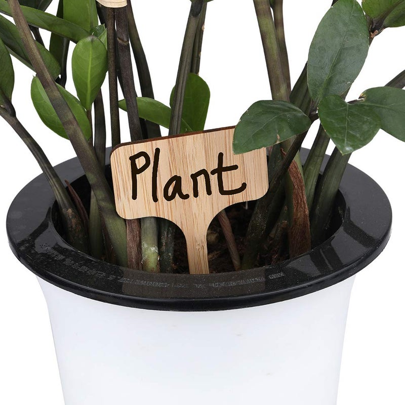 KINGLAKE 60 Pcs Bamboo Plant Labels, Garden Labels, Garden Plant Markers, T-Type Tags Nursery Labels, Wood Plant Labels, Waterproof Signs for Vegetable Plants with a Marker Pen - Image 5